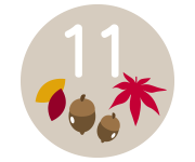 11