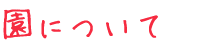 ɂ